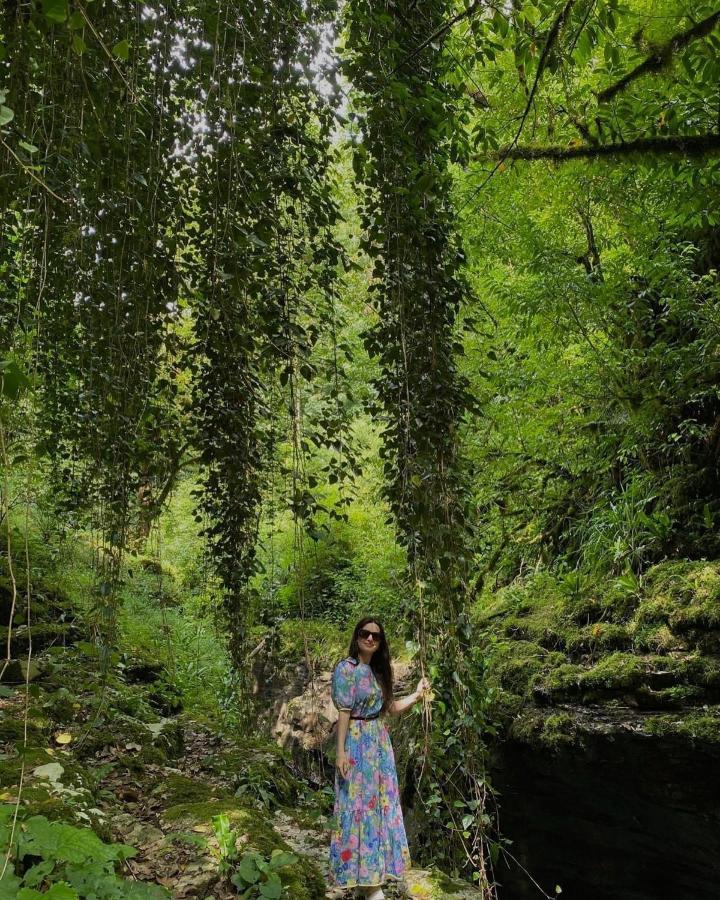 Nahei Cottage มาร์ทวิลิ ภายนอก รูปภาพ