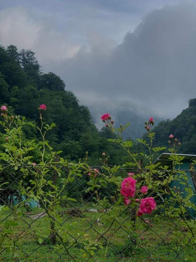 Nahei Cottage มาร์ทวิลิ ภายนอก รูปภาพ